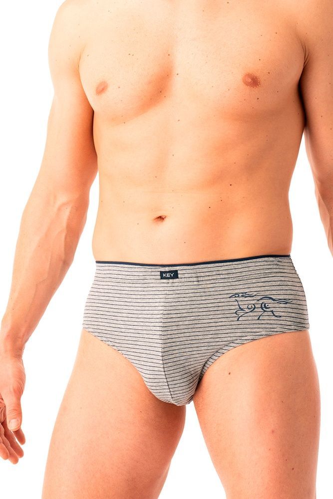 Набір трусів-сліпів чоловічих 2 шт Key MPP 354 B25, blue melange/light gray melange (синій меланж/світло-сірий меланж), L