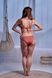 Труси для купальника жіночі BeachLife 070204-274, textured fabric (бордо), XS