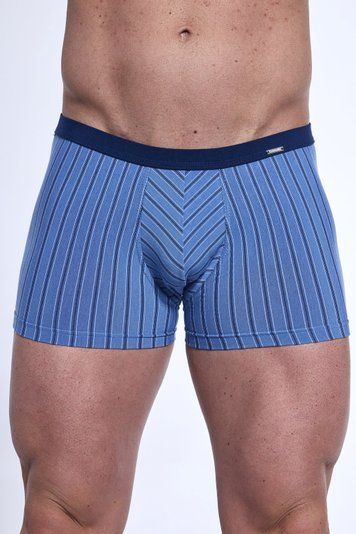 Трусы-боксеры мужские Cornette 91 912-91 Infinity A25, голубой, M