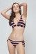 Труси для купальника жіночі Gisela 33368BR, stripes (смужка), S