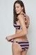 Труси для купальника жіночі Gisela 33368BR, stripes (смужка), S