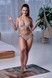 Труси для купальника жіночі BeachLife 970215-782, olive (оливковий), XS