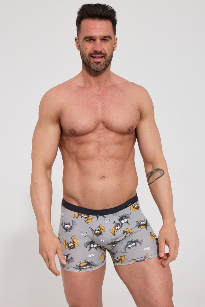 Труси-боксери чоловічі Cornette 280-252 Tattoo B26, grey (сірий)