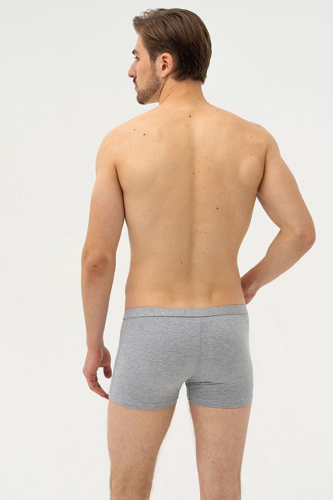 Труси-боксери чоловічі Cornette 223 Perfect mini-Authenti, melange (меланжевий), M