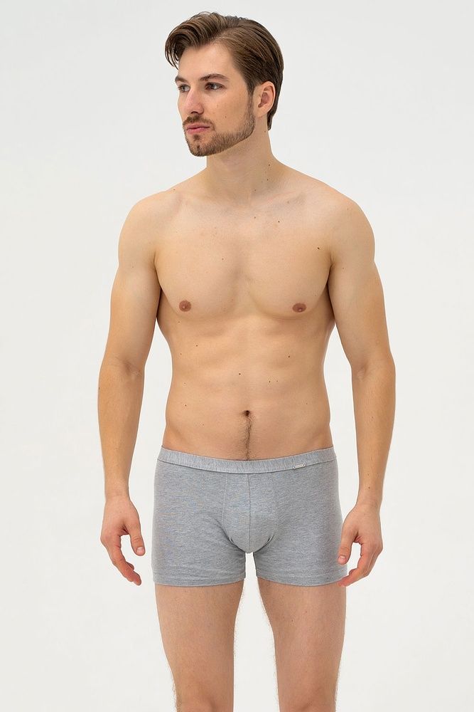 Труси-боксери чоловічі Cornette 223 Perfect mini-Authenti, melange (меланжевий), M