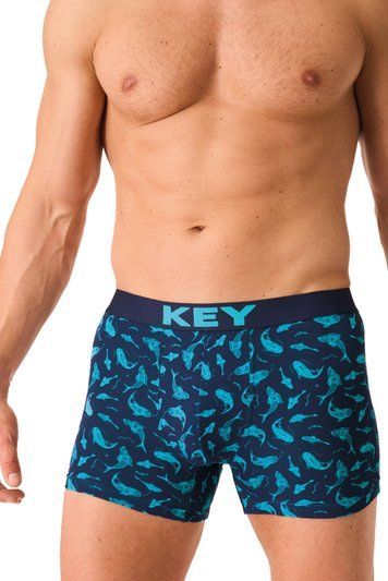 Труси-боксери чоловічі Key MXH 941 A26, GR (темно-синій)