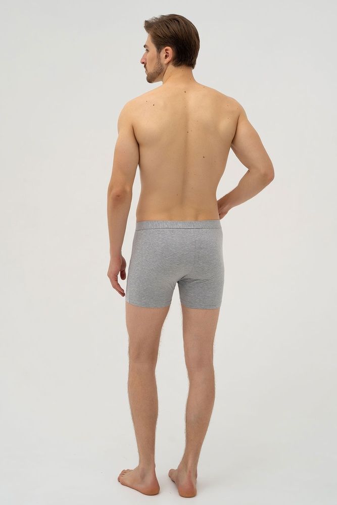 Труси-боксери чоловічі Cornette 092 3-5XL PERFECT-Authent, melange (сірий), 3XL
